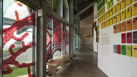 Asombroso Diseño del Biomuseo de Panamá