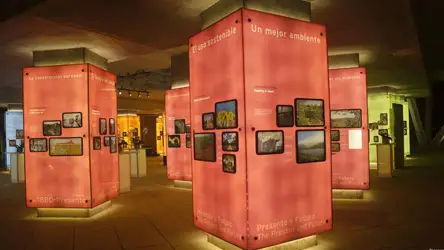 Asombroso Diseño del Biomuseo de Panamá